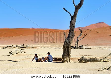 DEADVLEI NAMIBIA - JAN 29 2016: Tourists have a rest in shadow of the dead camelthorn tree in Deadvlei Sossusvlei. Namib-Naukluft National Park Namibia Africa