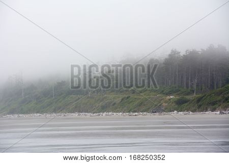 Pacific coast on Kalaloch Campground, Washington USA