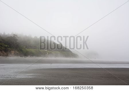 Pacific coast on Kalaloch Campground, Washington USA