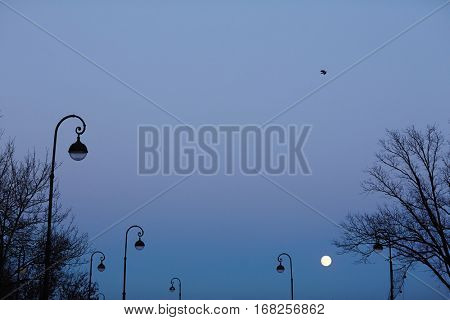 Night scene with sky, fullmoon, trees and street lamps
