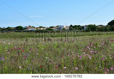 Loix France - september 26 2016 : the picturesque village in autumn