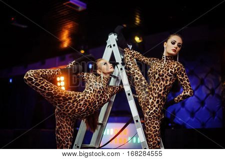Cheerful sexy girls living it up on the dance floor