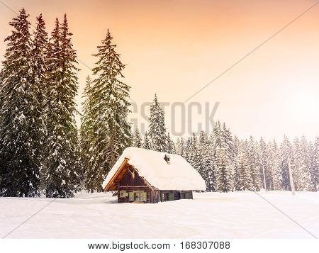 Winter holiday house in slovenia alps. Europe