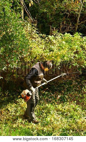 verneuil sur Seine France - november 3 2016 : a pruner in agarden