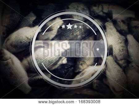 Fishing, Logo, Vintage Effect