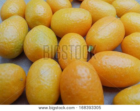 Oval kumquat (Citrus Margarita or Fortunella Margarita) fruit vegetarian food