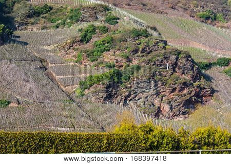 View of vineyards in beautiful Moselle valley in Germany