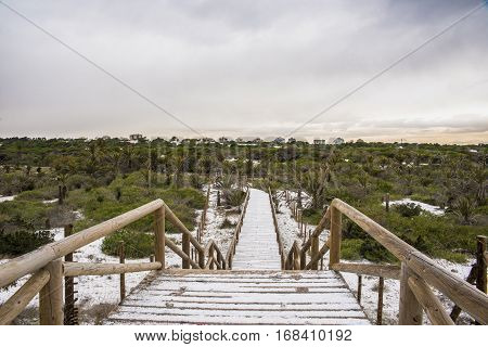 Guardamar Dunes Alicante
Landscape of Guardamar Dunes Alicante, Spain after a historic snowfall