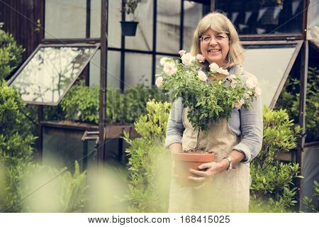 Botanical Environment Greenery Pottery Nature