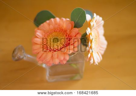orange garbera flower on a table .