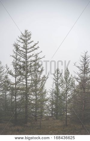 Atmospheric Landscape Of The Olkhon Island Under The Fog In Summer 2015. Lake Baikal, Russian Siberi