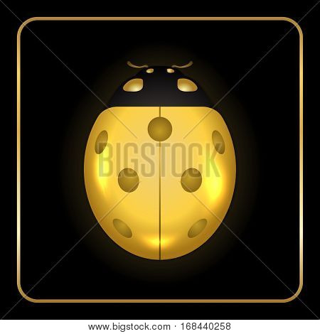 Ladybug Gold Insect Small Icon