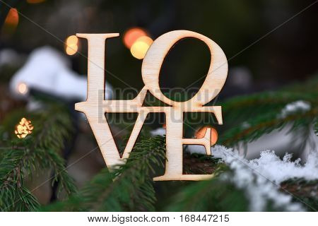 Wooden Word Love On Branches