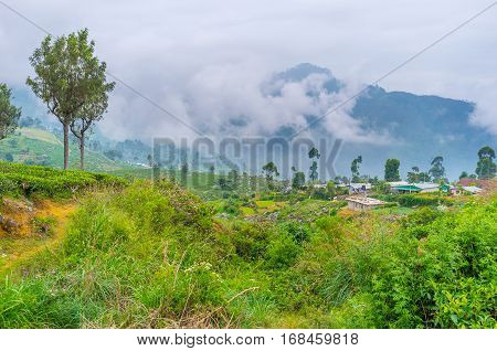 The Evening Landscape