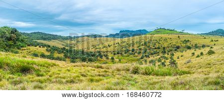 The Peaceful Landscape
