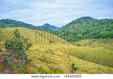 The Highland Land