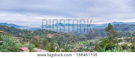 The View From The Mountain