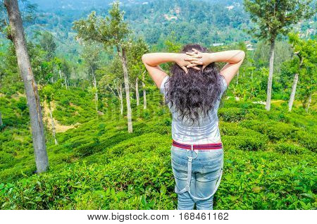 The Tourist Destination