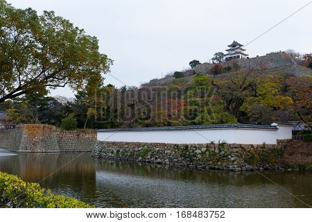 Marugame Castle in Japan