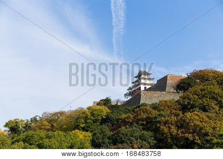 Marugame Castle