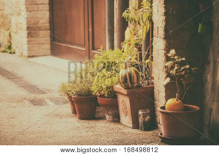 Empty street of small Tuscany town San Quirico d'Orcia in the morning fog with halloween pumpkin decorations. Romantic travel vintage hipster european italy background