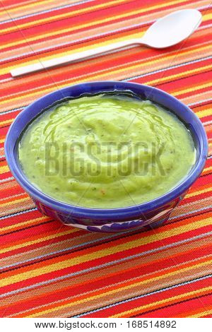 Delicious Mexican Guacamole Dip