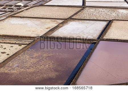 Salinas De Janubio