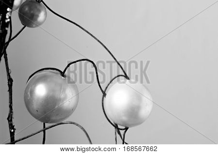 Balls of plastic emulating to fruits in branches of wood