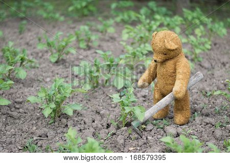 Teddy bear works hard in the garden