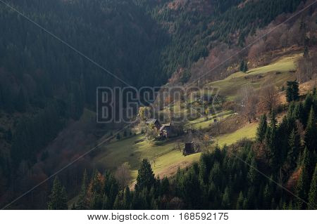 Transylvanian landscape with pineforests and farmhouses in the mountains