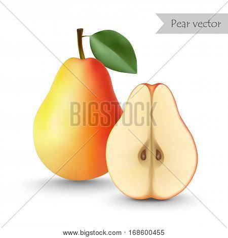 Pear vector isolated on white background. Half pear.