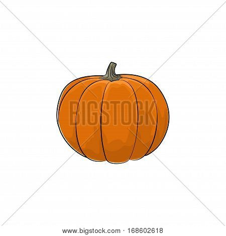 Pumpkin Standing Isolated on White Background, Orange Vegetables Gourd, Edible Fruit
