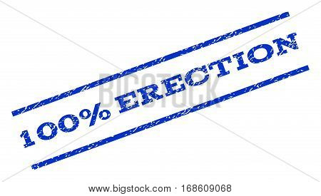 100 Percent Erection watermark stamp. Text tag between parallel lines with grunge design style. Rotated rubber seal stamp with dirty texture. Vector blue ink imprint on a white background.