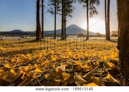 Mount Fuji Fujisan sunrise at Fumoto Japan