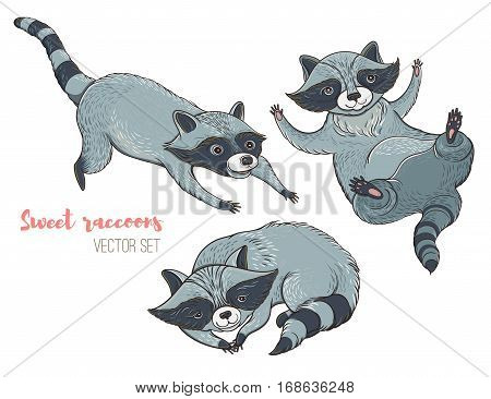 Vector illustration: set of cute characters raccoons. Isolated templates for design.