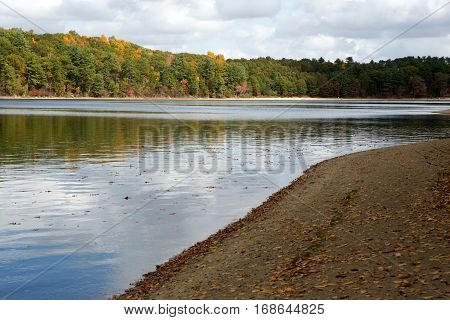 Walden Pond water in Massachusetts in autumn