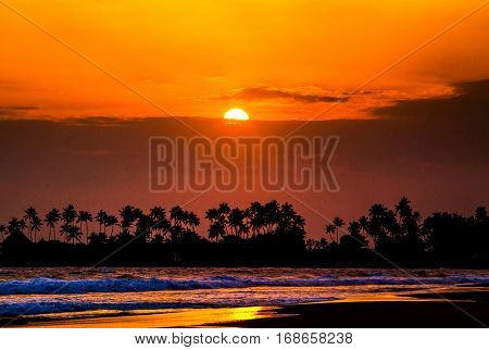 beautiful sunset over the coconut plams on Sri Lanka beach