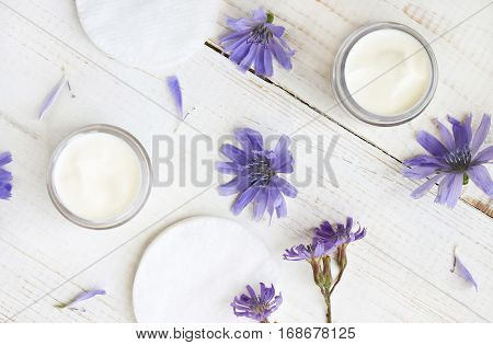 Chicory infused facial cream. Blue flowers and sample products over white table. Herbal cosmetics.
