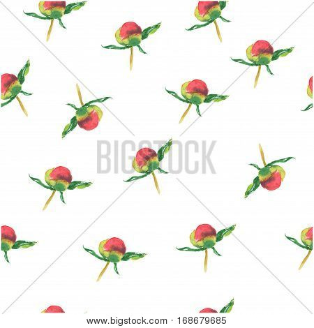 Pink peony bud on white background. Seamless watercolor pattern. Could be used for textile or in design