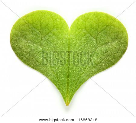 Verde lar - metáfora ambiental