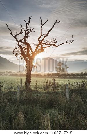 Beautiful Foggy Misty Autumn Sunrise Over Countryside Surrounding Crummock Water In Lake District In