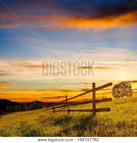 Wooden fence - a beautiful meadow blown Wildflowers at sunset