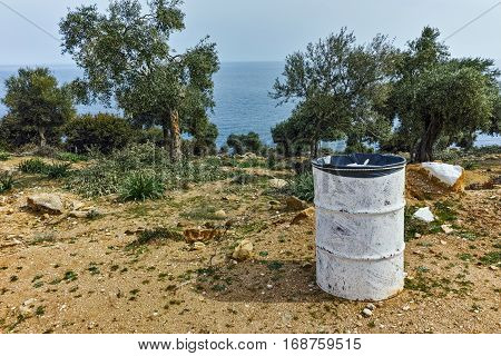 Olive trees near Giola Natural Pool in Thassos island, East Macedonia and Thrace, Greece