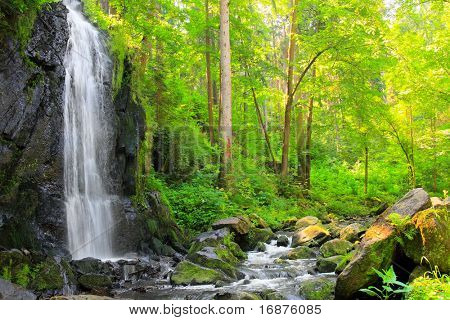 緑の森の美しい滝。Novohradske に最適 - チェコ共和国での山 - E からの風景