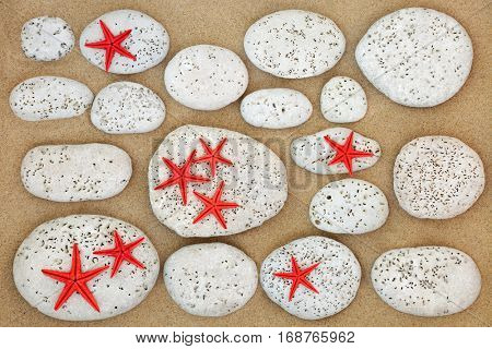 Abstract beach background on sand with starfish and white stones with bore holes made by bivalved molluscs.