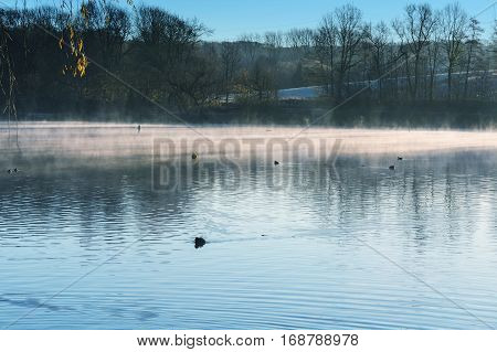 Morning with fog and sun reflection at a small lake in Heiligenhaus Germany.