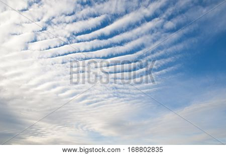 Cirrocumulus Clouds in Blue Sky. Cirrocumulus clouds are small rounded puffs that usually appear in long rows high in the sky. Cirrocumulus are usually white but sometimes appear gray.