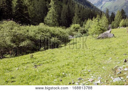 Four girl mountain build gully scenery in Sichuan, China