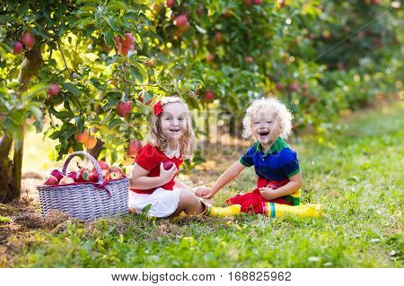 Child picking apples on a farm in autumn. Little girl and boy playing in apple tree orchard. Kids pick fruit in a basket. Toddler eating fruits at harvest. Outdoor fun for children. Healthy nutrition.