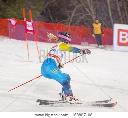 STOCKHOLM SWEDEN - JAN 31 2017: Side view of Frida Hansdotter (SWE) in the parallel slalom downhill skiing at the Alpine Audi FIS Ski World Cup - city event January 31 2017 Stockholm Sweden